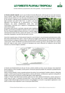 LE FORESTE PLUVIALI TROPICALI
