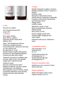 rosato 2013 - Vino Suffonte