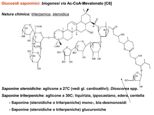 Droghe Saponine