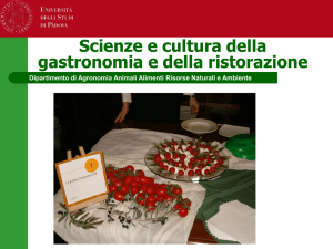 Presentazione standard di PowerPoint