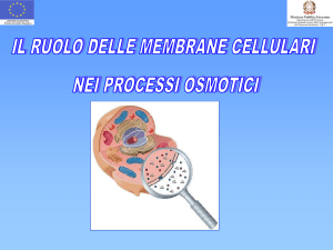 L`osmosi