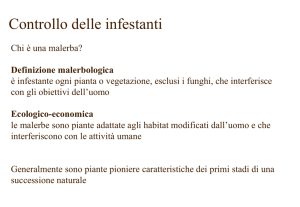 malerbe e controllo - e