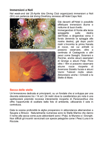 Immersioni a Noli - IDRA Diving Club