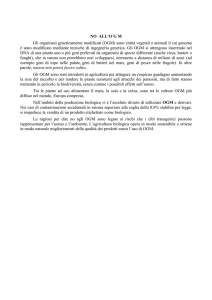 NO ALL`O G M Gli organismi geneticamente modificati (OGM) sono