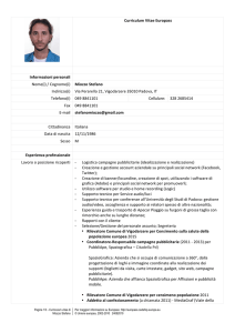 Curriculum Vitae Miozzo Stefano