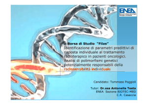 Presentazione di PowerPoint