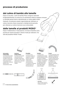La trasformazione del culmo del bambú / Stile del prodotto