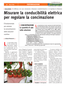 Scarica l`articolo completo (file  | 118 Kb)