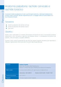 P ercorso B O ttob re Anatomia palpatoria: rachide cervicale e