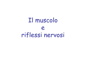 Metodi e didattiche delle attività motorie