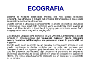 ECOGRAFIA