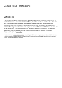 Campo visivo - Definizione