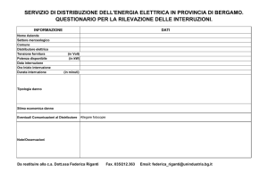 SERVIZIO DI DISTRIBUZIONE DELL`ENERGIA ELETTRICA IN