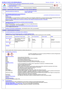 SCHEDA DI DATI DI SICUREZZA (REACH)