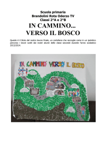 Scuola primaria Brandolini Rota Oderzo TV Classi 2