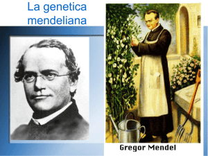 LA GENETICA MENDELIANA File