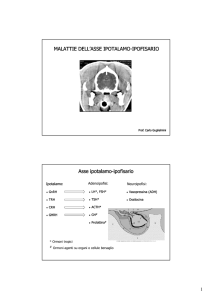 Malattie asse Ipotalamo-Ipofisi File - e