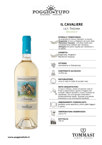 il cavaliere - Tommasi Naturae