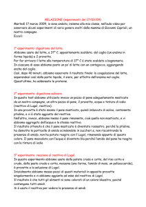 RELAZIONE (esperimenti del 17/03/09) Martedì 17