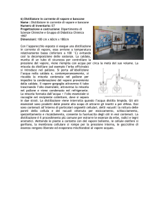 6) Distillatore in corrente di vapore e bancone Nome : Distillatore in