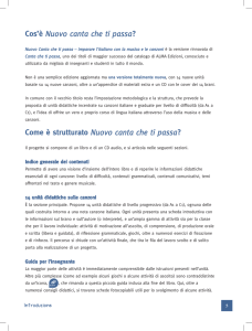 Cos`è Nuovo canta che ti passa? Come è strutturato