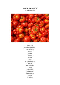Ode al pomodoro