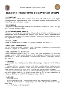 Incisione Transuretrale della Prostata (TUIP)