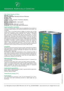 Olio Extra Vergine di Oliva