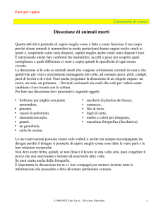 Dissezione di animali morti