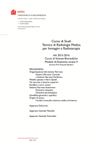 TRMIR 1a2s Anatomia umana II Bandiera 2015