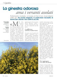 Nel giardino - Agricoltura Regione Emilia