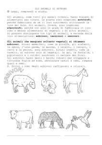 Alimentazione degli animali: Erbivori, Carnivori, Onnivori