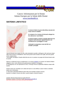 sistema linfatico - European Institute of Women`s Health