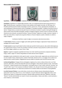 Stemma colori e gonfalone