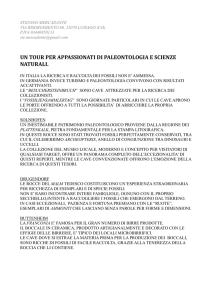 un tour per appassionati di paleontologia e scienze naturali.