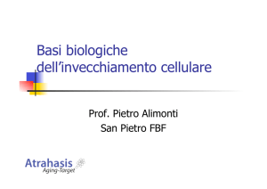 le basi biologiche della senescenza