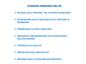 Citologia 6