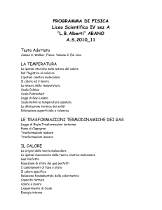 PROGRAMMA DI FISICA 4AL 2010_2011