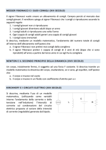 MESSER FIBONACCI E I SUOI CONIGLI (XIII SECOLO) Il signor