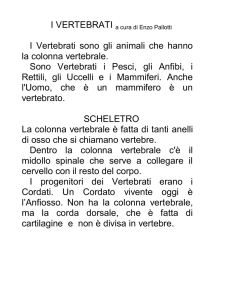 i vertebrati - Fotografia naturalistica di Enzo Pallotti