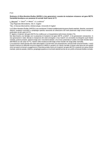 P121 Sindrome di Allan-Herndon-Dudley (AHDS) in due