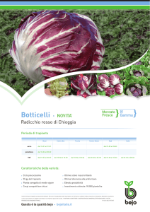 Botticelli - Bejo Italia
