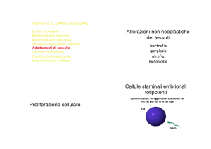 LEZIONE 2014 CRESCITA