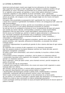 Senza titolo-1