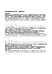Smagliature: prevenzione e trattamento Cosa sono? Le smagliature