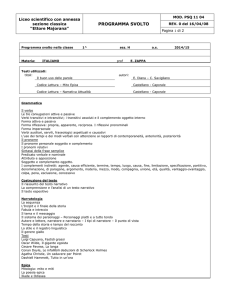 Programma svolto nella classe