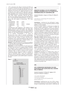 266 –25°C e processate entro 24h per l`estrazione del DNA con il