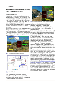Lezione in PDF
