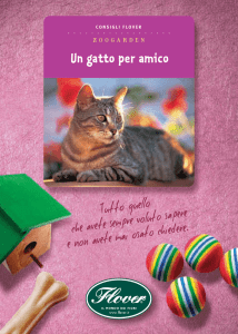 Un gatto per amico