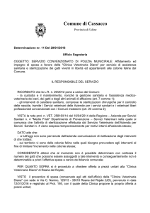 Visualizza il Documento